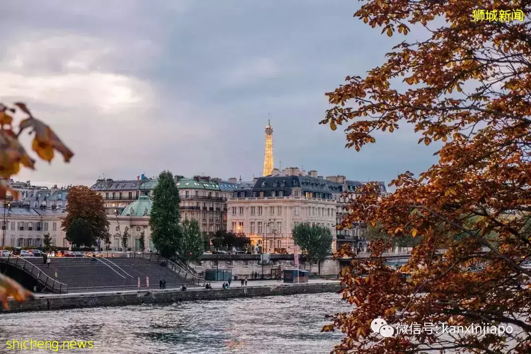 “作为社畜放弃留在法国,来新加坡搬砖的原因是...”