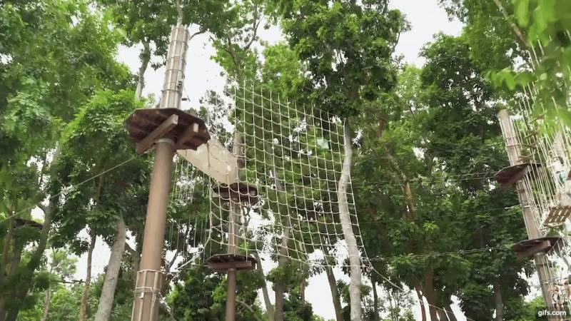 驚險刺激！挑戰人猿泰山一樣的飛躍、水面滑索等超好玩項目！就在Bedok蓄水池Forest Adventure