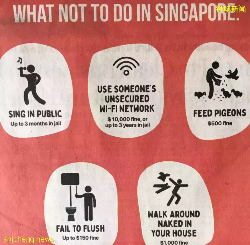 幾十張圖帶你了解別樣的新加坡