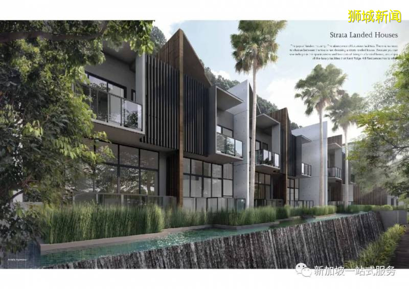 新加坡大學優勢和申請新