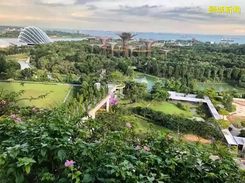 園林面積占國土的八分之一，新加坡是怎樣成爲“花園城市”的