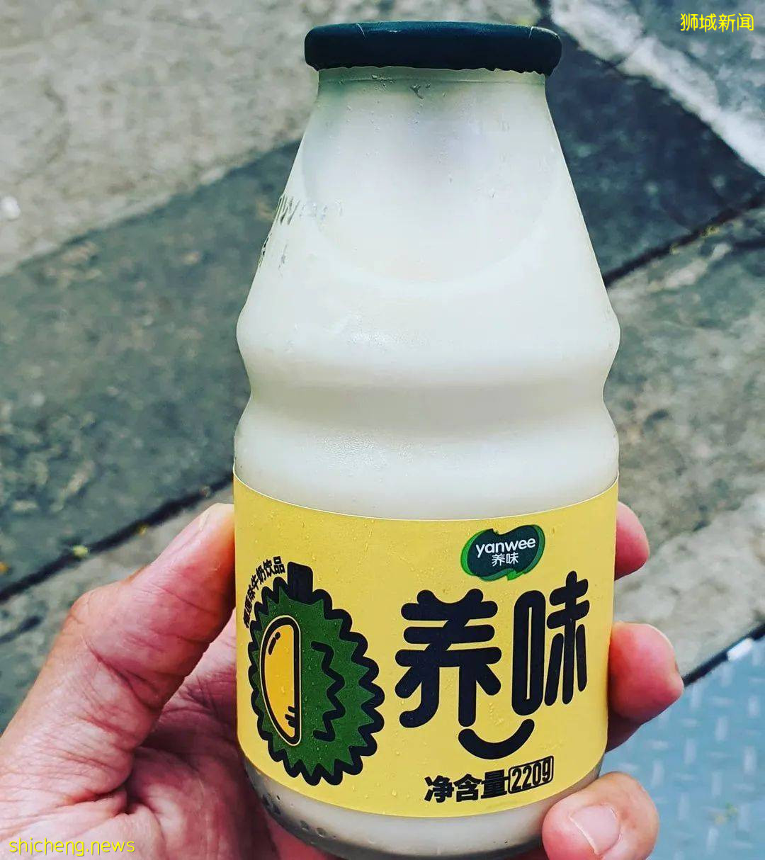 榴梿真愛粉必嘗試！新加坡20款創意榴梿美食不容錯過