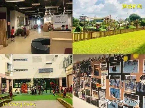 新加坡加拿大國際學校,承包了國際IB課程和王牌雙語項目