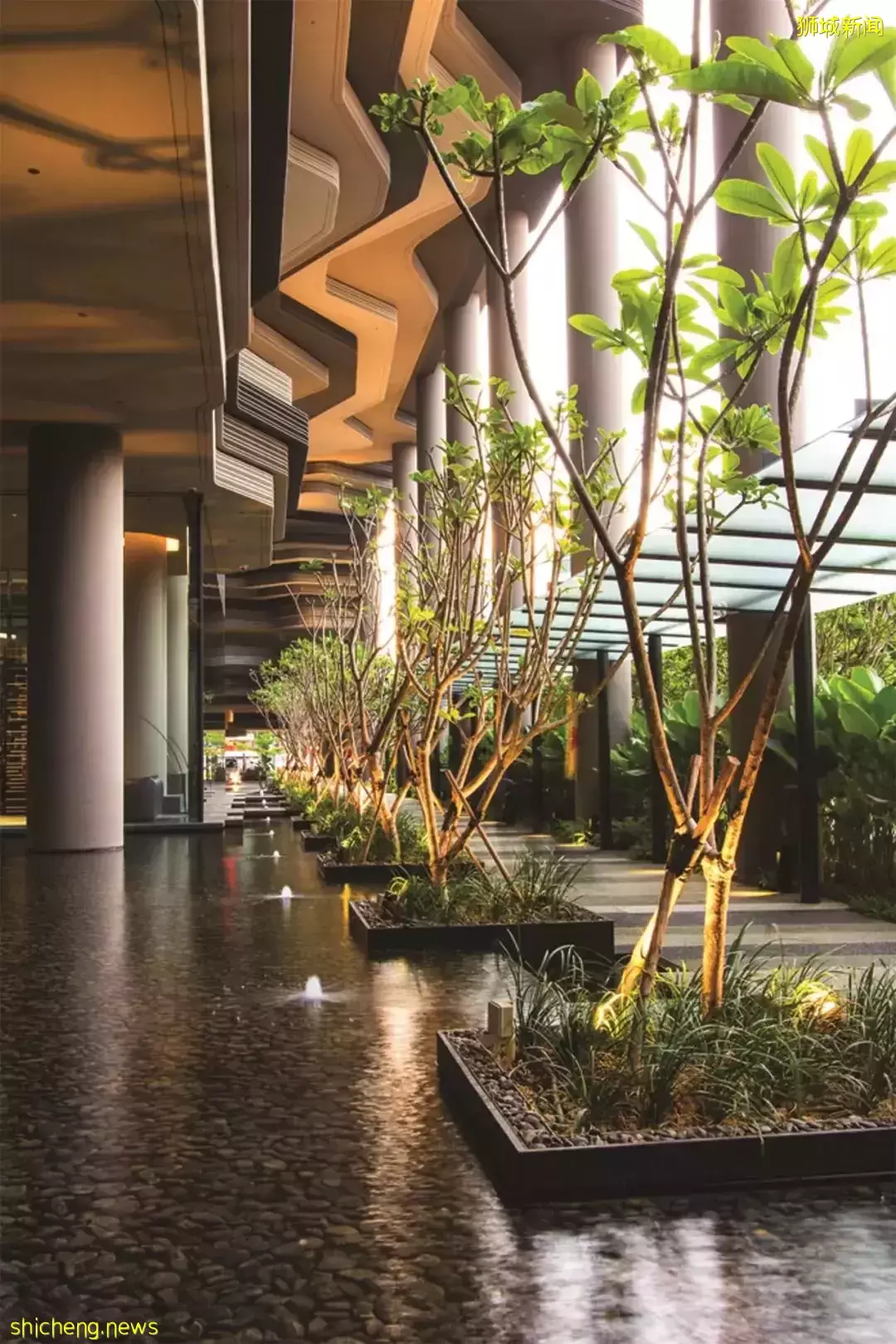 新加坡皮克林賓樂雅花園酒店 / Tierra Design (S) Pte Ltd