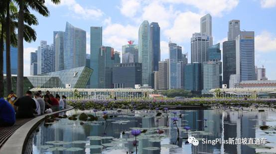 新加坡疫情後的發展，值得看好嗎