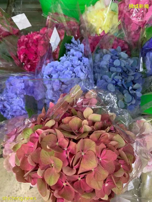 除了超市，原來新加坡還能在這些地方買到鮮花