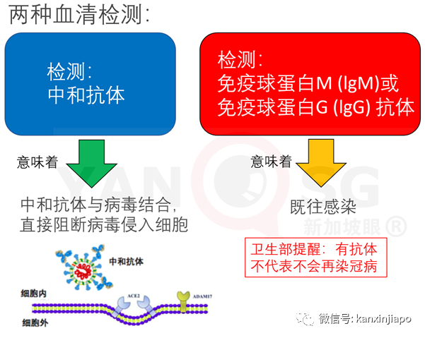 发病后180天仍有抗体，新加坡建筑业等康复客工无须定期检测