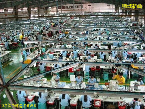 中国的程序员刚受新加坡认可 越南发声：我们工资更低