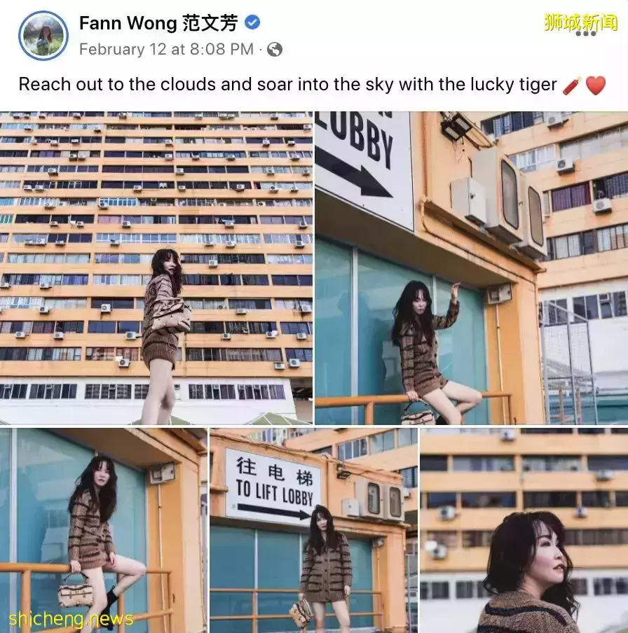 他們千裏奔赴中國,新加坡男明星感動大呼:好想買機票飛回家