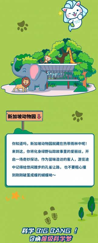 收藏!和孩子一起从新出发,童步狮城,打卡不出错的新加坡亲子游路线
