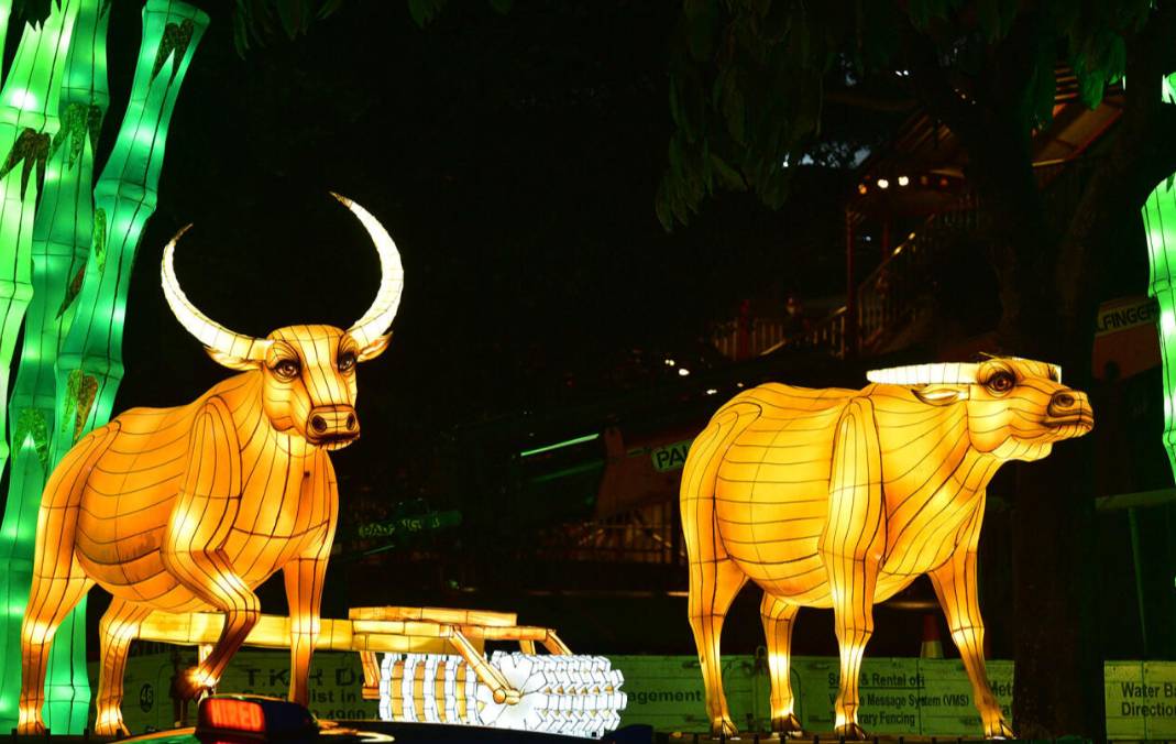 880米？800個？88只？What is this