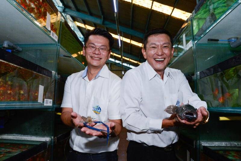 立志打造全球最大观赏鱼公司  叶国清明年接棒掌舵仟湖