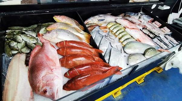 探访新加坡最大活海鲜市场 本月疯狂优惠