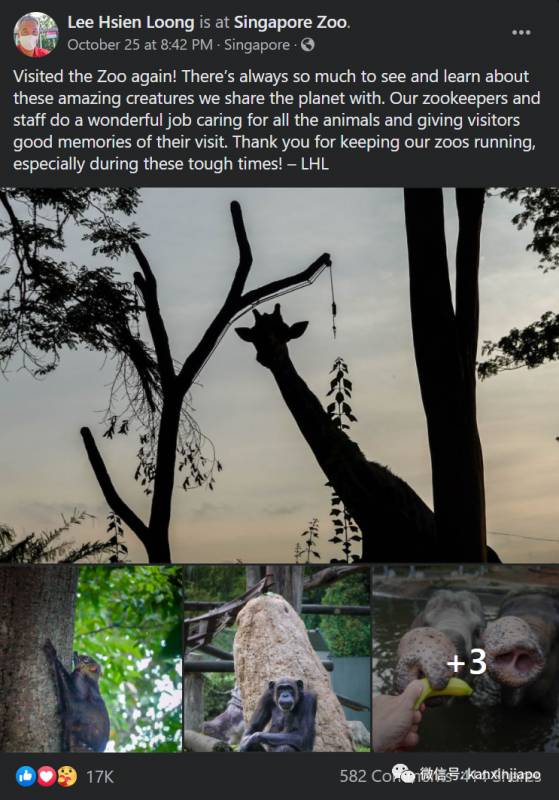 动物园独家闪促优惠!李显龙带头探访小动物