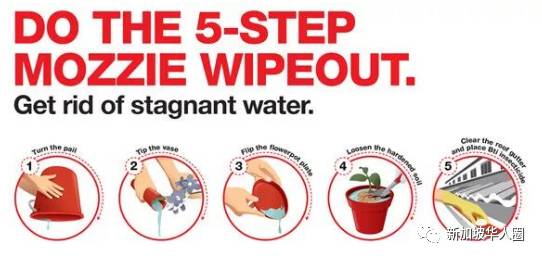 新加坡骨痛熱症大爆發!一周新增1678起病例!全島有371個黑區