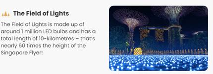 聖誕去哪嗨?從白天到晚上,從線下到線上,濱海灣公園聖誕活動不停歇