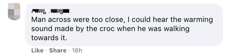 新加坡鳄魚上岸堵路,張開大嘴!海豚犀鳥也都來了