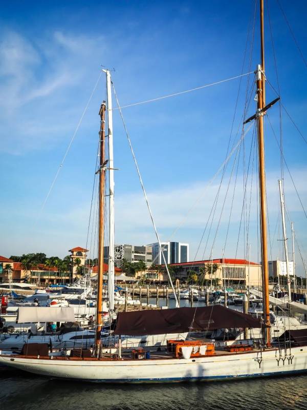 NTU 周邊的絕美拍照聖地,你不想去打卡嘛