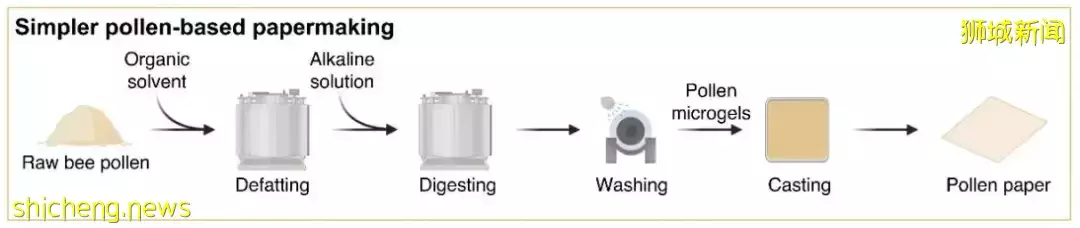 新研发!能脱色的花粉纸,可实现反复打印