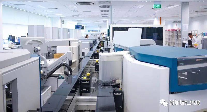 新加坡實驗室又出錯,這回誤將233個未化驗的冠病拭子樣本直接丟棄銷毀