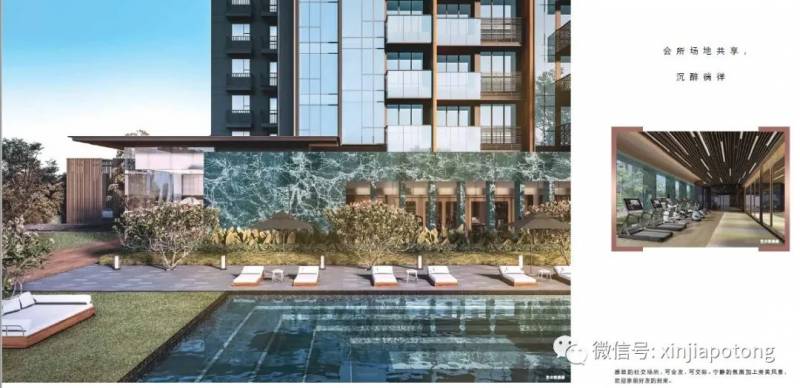 疫情後，新加坡又多了這些億萬富豪！有幾個中國來的