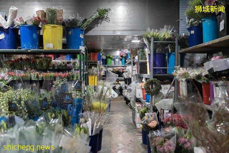 除了超市，原來新加坡還能在這些地方買到鮮花