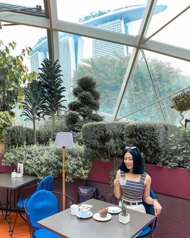 新加坡9家隐居山林的小众咖啡厅! 田园下午茶,绿意约会地