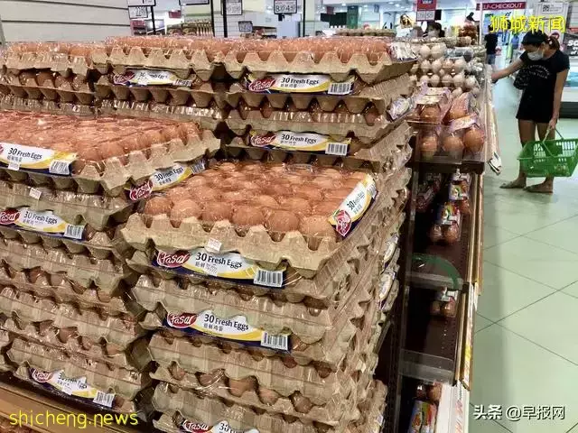 新加坡豪华养鸡场长啥样