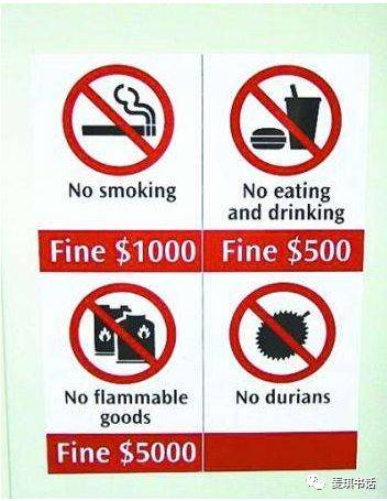 新加坡（二）乐龄社会