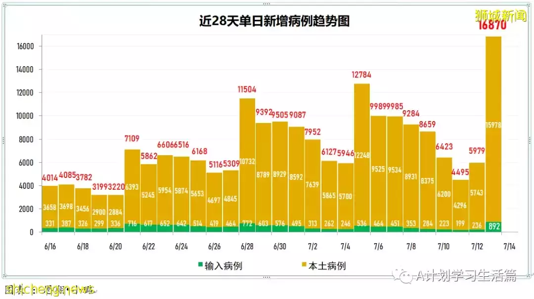 新增11772起,4人去世;新加坡出現第二起本土猴痘病例