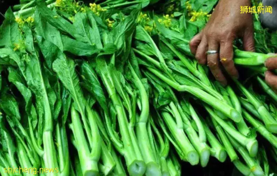 非法进口大马蔬菜　狮城蔬菜进口商被罚4000新元