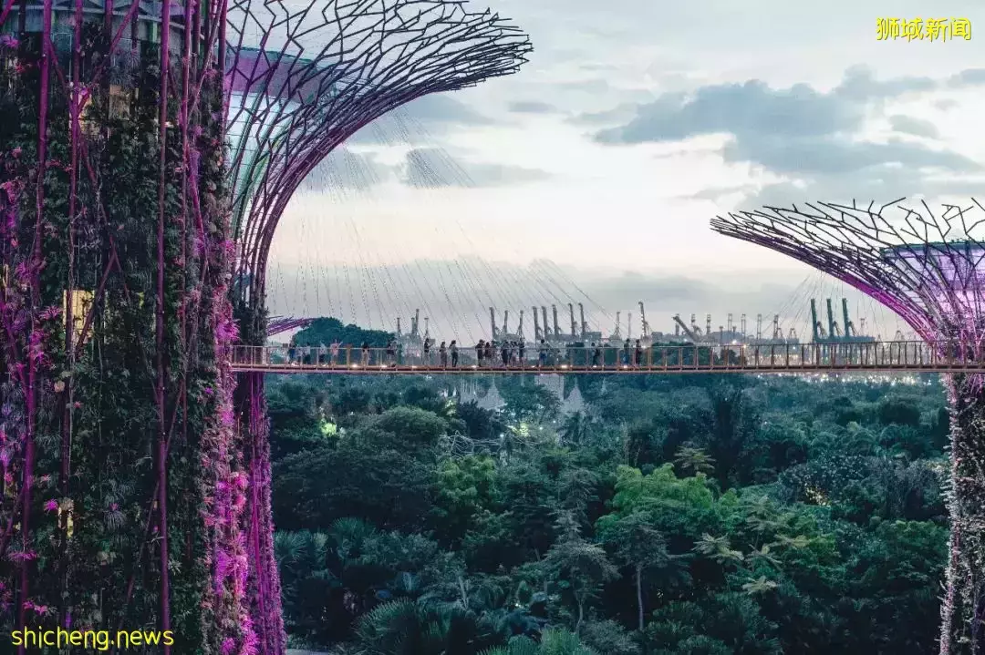 新加坡最大衆化的移民方式,投資少!門檻低