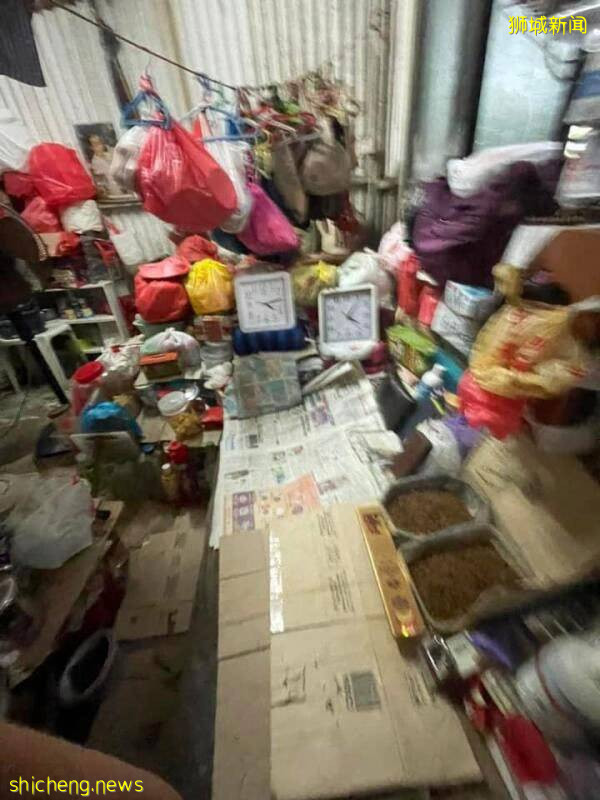 六旬婦養50只貓鳥 鼠蟻橫行 糞便滿地