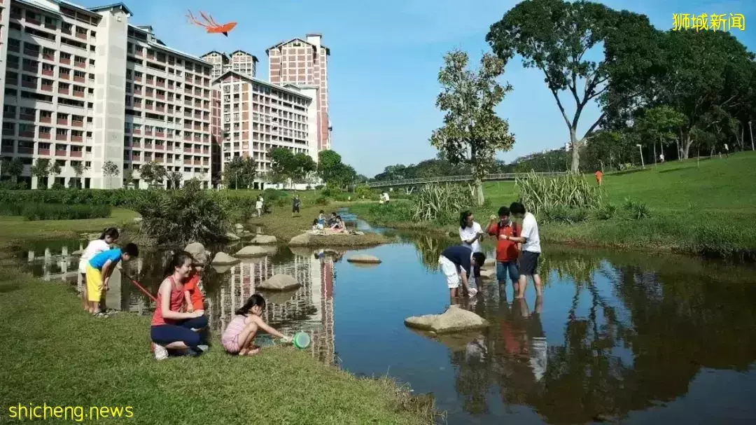 新加坡富人區驚現一匹黑馬奔騰!網友表示:好羨慕花園城市