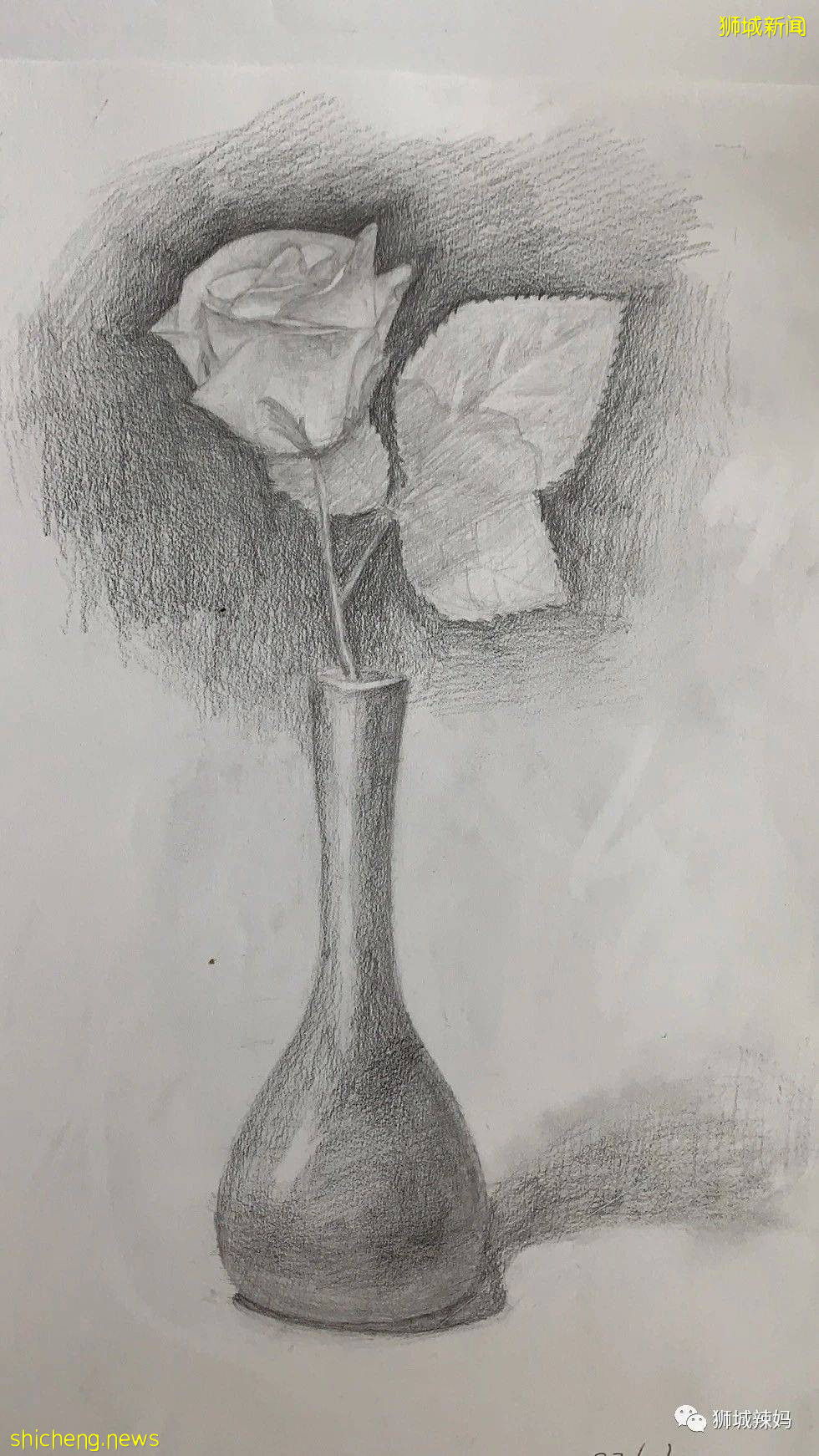 准备1年半拿到南洋女中DSA录取通知，这个冷门项目估计你不知道