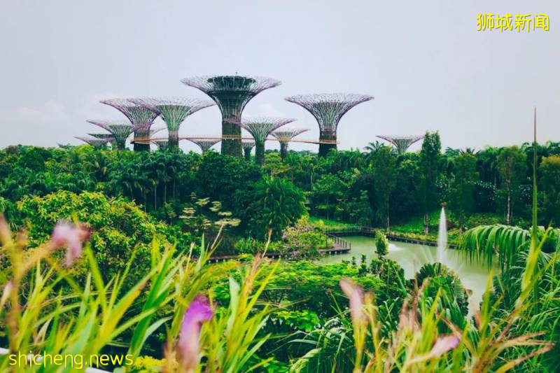 重磅！！PEP VS EP准證最全解析！看進來