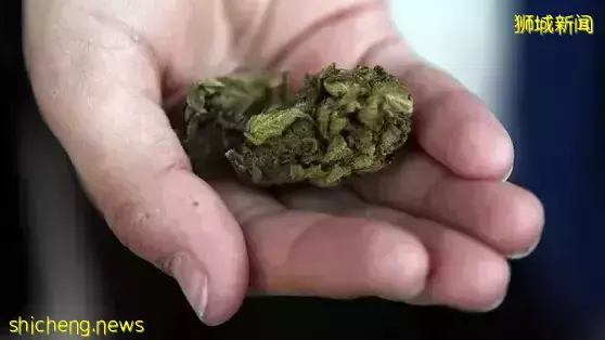 李顯龍總理：不會將毒品合法化 ！多國毒販被鞭刑、處死，求情被拒！新加坡毒販曾弑母殺女