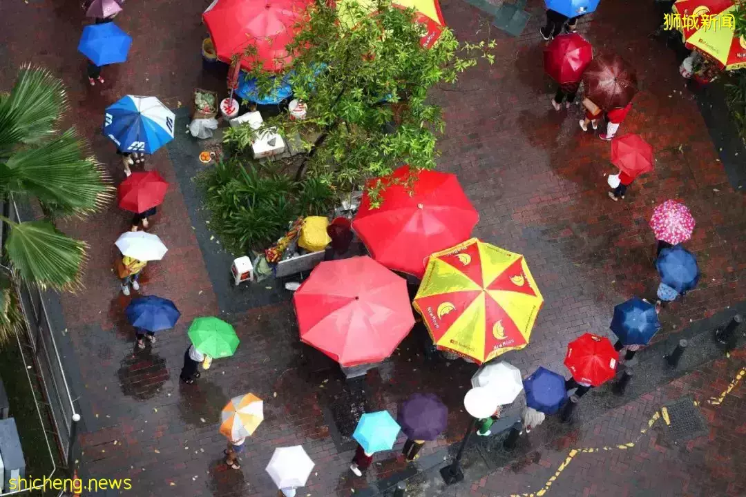 狂風大雨擋不住,讓新加坡人天沒亮就排隊的“開庫借紅包” 是什麽
