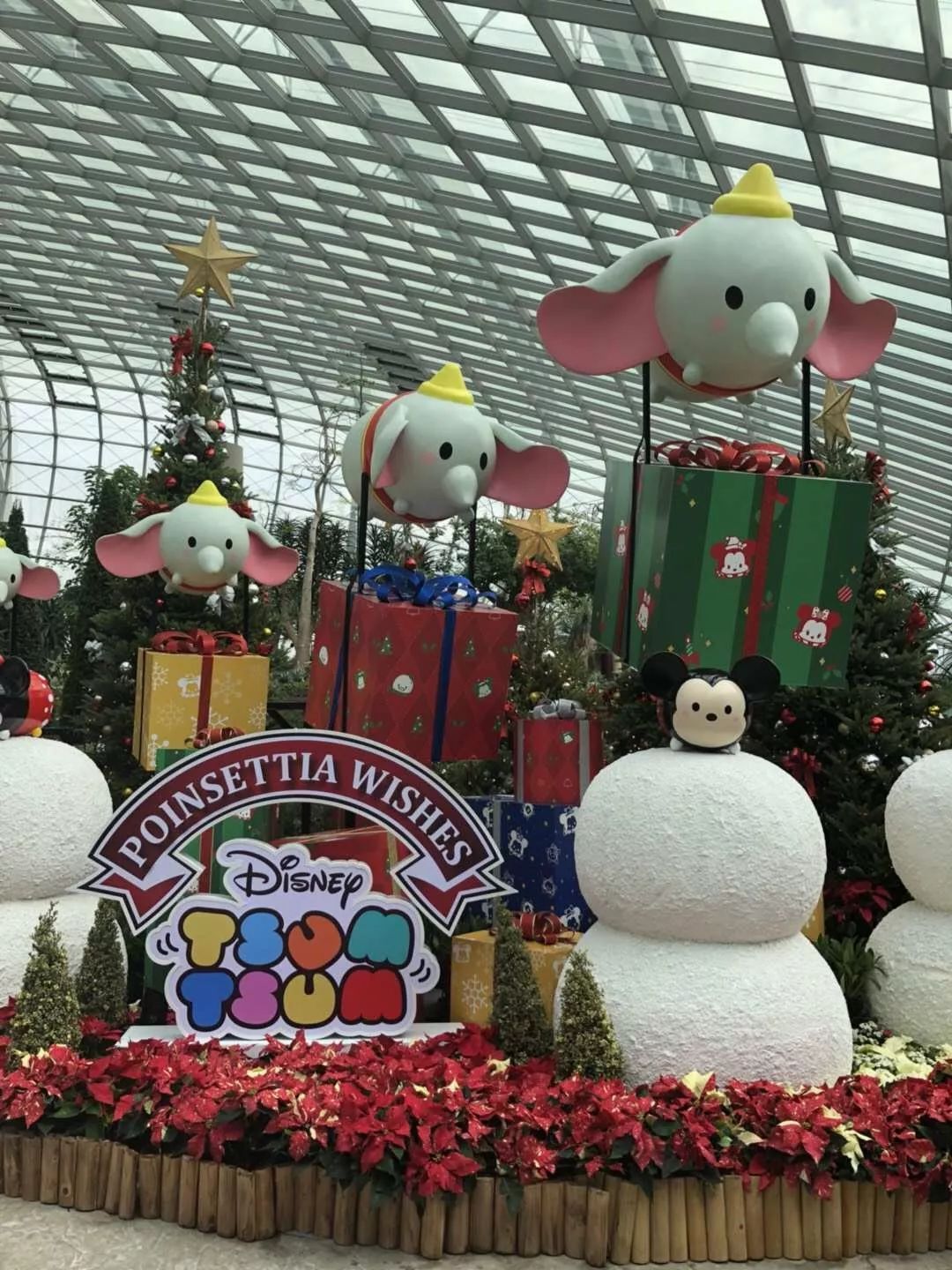 640?wx_fmt=jpeg&tp=webp&wxfrom=5&wx_lazy=1&wx_co=1