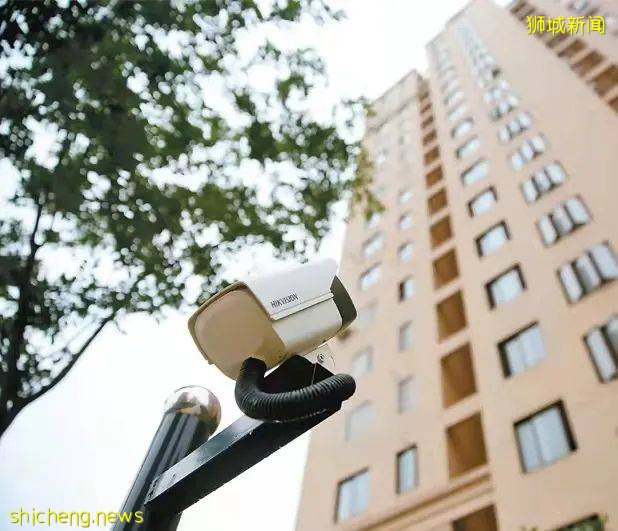 新加坡海军军人高空抛下仙人掌,被判一年强制性治疗