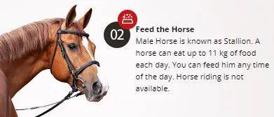 經營20年的新加坡“動物度假村”宣布結業，明年1月10日爲最後營業日期