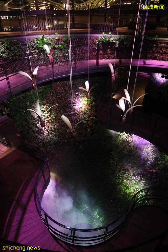 迪拜世博会新加坡展馆：自然之城，展示自然、培育、未来 