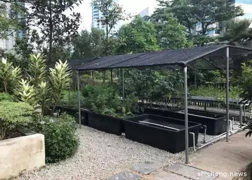 科技照耀下的“花园城市”——新加坡