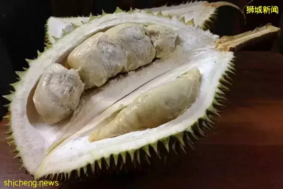 新加坡 榴梿季來襲