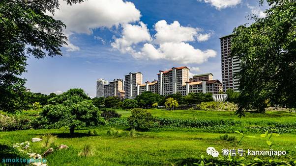 晴天大草原,暴雨成黄河!一场豪雨秒懂新加坡排水系统