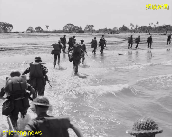 能让鳄鱼做噩梦的地方是新加坡，见孩子咳嗽鳄鱼吓得浑身颤抖