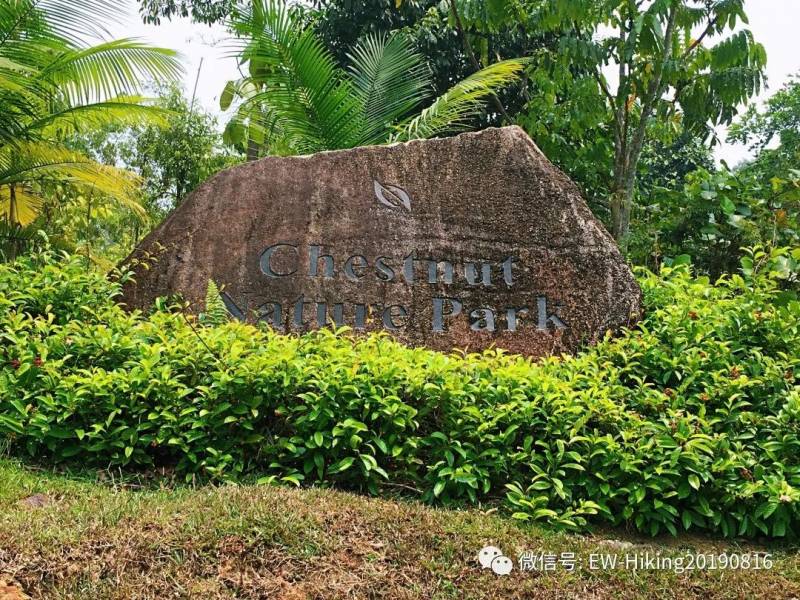 卡迪至山景(丛林探索之旅)