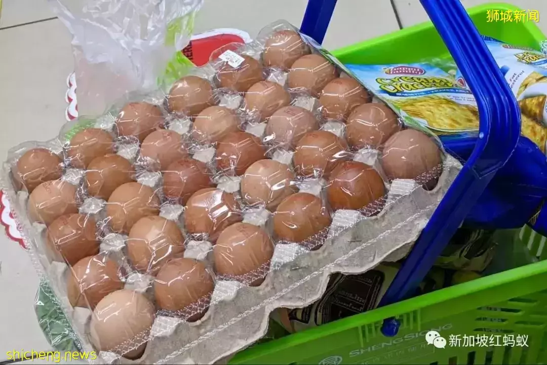 到马来西亚旅游,哪些东西不可以带回新加坡