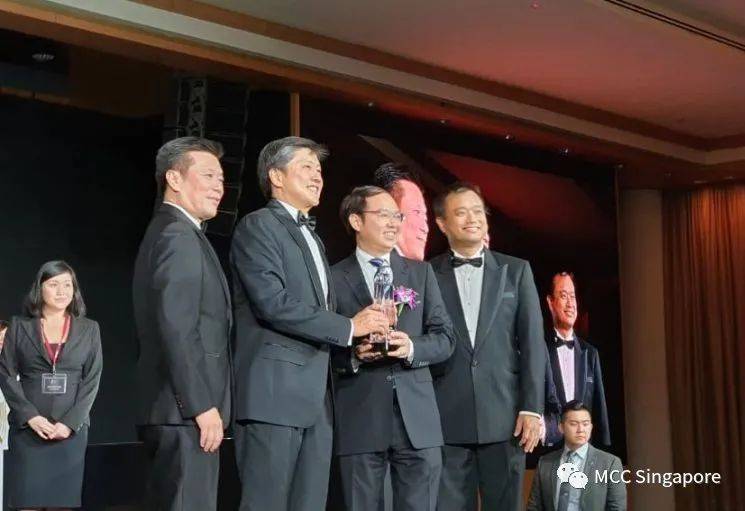 谁是中冶新加坡?(一)