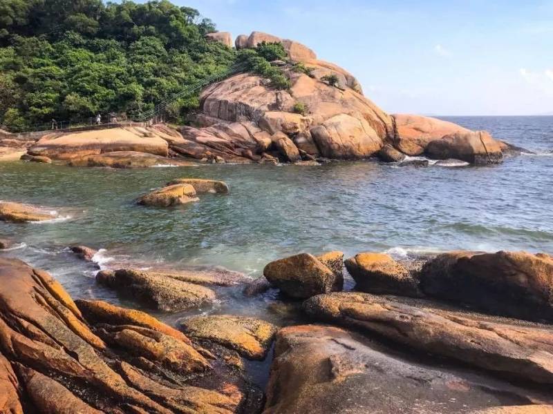 新加坡与香港（八）